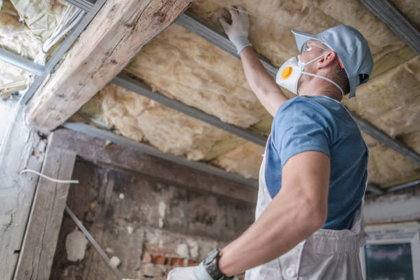 Best Best Insulation Companies  in Arnold Line, MS
